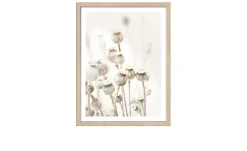 Rahmenbild Dried Poppies 33 x 43 cm