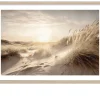 Rahmenbild Dune Grass At Sunrise 75 x 105 cm