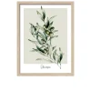 Rahmenbild Oliven 33 x 43 cm