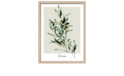 Rahmenbild Oliven 33 x 43 cm