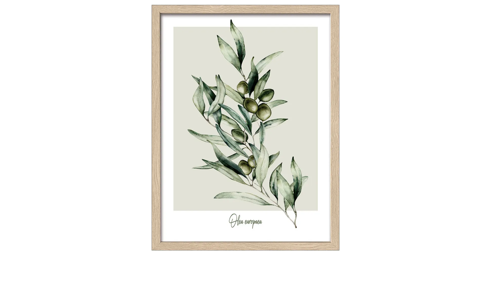 Rahmenbild Oliven 33 x 43 cm