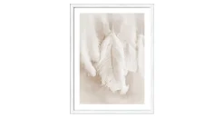 Rahmenbild The Feather 33 x 43 cm