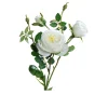 Rose 60 cm