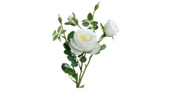 Rose 60 cm