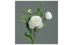 Rose 60 cm