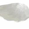 Schale Muschel Venus