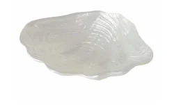 Schale Muschel Venus