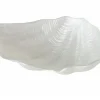 Schale Muschel Venus