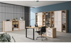 Schreibtisch-Kombination Design-Office