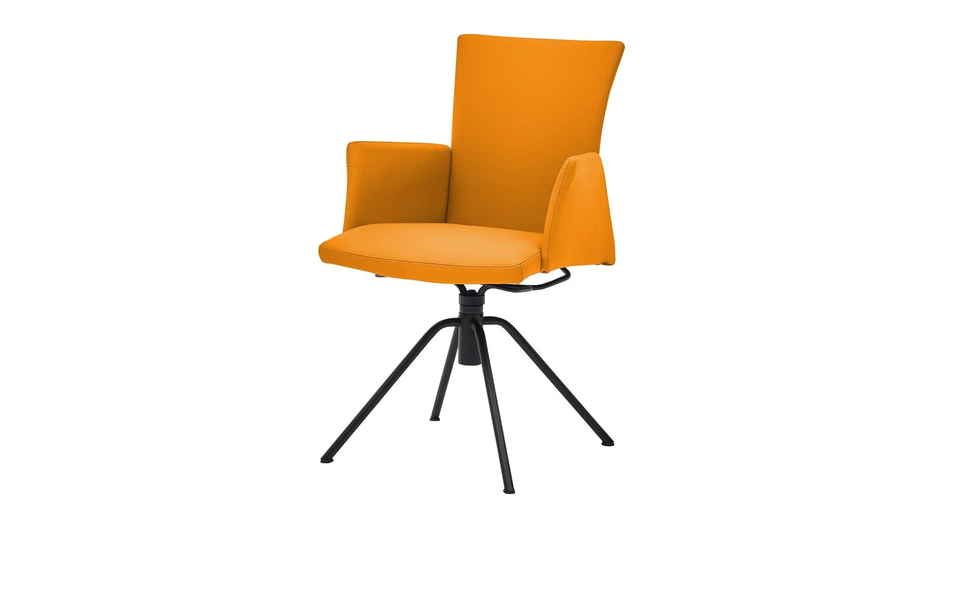 Speisezimmer-Armlehnen-Stuhl Musterring Helmond
