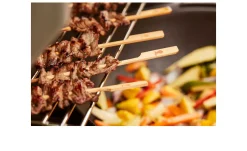 Spieße aus Bambusholz