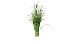 Stehgras 65 cm