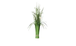 Stehgras 89 cm