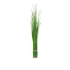 Stehgras 60 cm