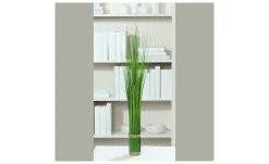 Stehgras 60 cm