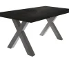 Tisch Biblis-System