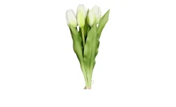 Tulpen Bund 31 cm