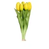 Tulpen Bund 31 cm