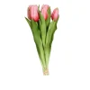 Tulpen Bund 31 cm