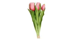 Tulpen Bund 31 cm